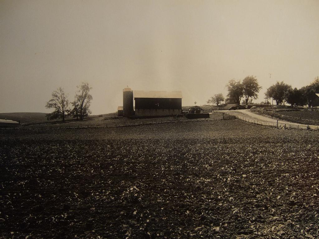 DSCF2491.JPG - Farm buildings